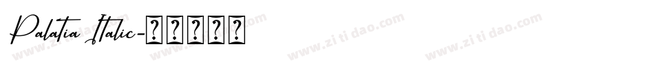 Palatia Italic字体转换
